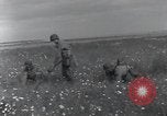 Standbild Landebahn Bau Frankreich, 1944, aus Sekunde 3 historischem Filmmaterial Videoclip 65675068760