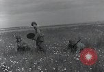 Standbild Landebahn Bau Frankreich, 1944, aus Sekunde 9 historischem Filmmaterial Videoclip 65675068760