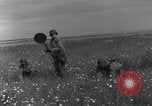 Standbild Landebahn Bau Frankreich, 1944, aus Sekunde 13 historischem Filmmaterial Videoclip 65675068760