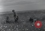 Standbild Landebahn Bau Frankreich, 1944, aus Sekunde 16 historischem Filmmaterial Videoclip 65675068760