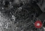 Standbild Landebahn Bau Frankreich, 1944, aus Sekunde 37 historischem Filmmaterial Videoclip 65675068760