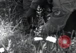 Standbild Landebahn Bau Frankreich, 1944, aus Sekunde 41 historischem Filmmaterial Videoclip 65675068760