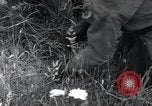 Standbild Landebahn Bau Frankreich, 1944, aus Sekunde 49 historischem Filmmaterial Videoclip 65675068760