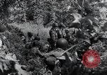Standbild Der 101st Airborne Division Saint Marcouf Frankreich, 1944, aus Sekunde 3 historischem Filmmaterial Videoclip 65675068779