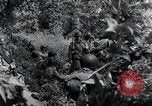 Standbild Der 101st Airborne Division Saint Marcouf Frankreich, 1944, aus Sekunde 7 historischem Filmmaterial Videoclip 65675068779