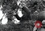 Standbild Der 101st Airborne Division Saint Marcouf Frankreich, 1944, aus Sekunde 25 historischem Filmmaterial Videoclip 65675068779
