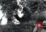Standbild Der 101st Airborne Division Saint Marcouf Frankreich, 1944, aus Sekunde 29 historischem Filmmaterial Videoclip 65675068779
