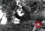 Standbild Der 101st Airborne Division Saint Marcouf Frankreich, 1944, aus Sekunde 31 historischem Filmmaterial Videoclip 65675068779