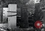 Standbild Der 101st Airborne Division Saint Marcouf Frankreich, 1944, aus Sekunde 36 historischem Filmmaterial Videoclip 65675068779