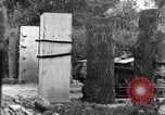 Standbild Der 101st Airborne Division Saint Marcouf Frankreich, 1944, aus Sekunde 39 historischem Filmmaterial Videoclip 65675068779