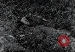 Standbild 82nd Airborne Division Saint Marcouf Frankreich, 1944, aus Sekunde 3 historischem Filmmaterial Videoclip 65675068780