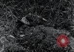 Standbild 82nd Airborne Division Saint Marcouf Frankreich, 1944, aus Sekunde 4 historischem Filmmaterial Videoclip 65675068780