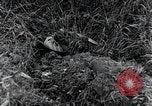 Standbild 82nd Airborne Division Saint Marcouf Frankreich, 1944, aus Sekunde 5 historischem Filmmaterial Videoclip 65675068780