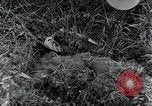 Standbild 82nd Airborne Division Saint Marcouf Frankreich, 1944, aus Sekunde 6 historischem Filmmaterial Videoclip 65675068780