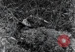 Standbild 82nd Airborne Division Saint Marcouf Frankreich, 1944, aus Sekunde 9 historischem Filmmaterial Videoclip 65675068780