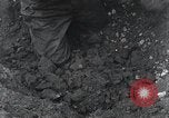 Image of United States troops Normandy France, 1944, second 61 stock footage video 65675068785