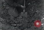 Image of United States troops Normandy France, 1944, second 62 stock footage video 65675068785