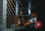 Image of United States soldiers Vietnam, 1969, second 36 stock footage video 65675068797