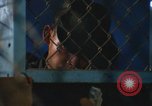 Image of United States soldiers Vietnam, 1969, second 41 stock footage video 65675068797