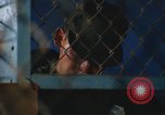 Image of United States soldiers Vietnam, 1969, second 45 stock footage video 65675068797