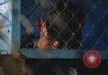 Image of United States soldiers Vietnam, 1969, second 47 stock footage video 65675068797
