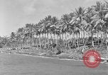 Immagine di 8° Fighter Group Morotai Island Indonesia, 1944, secondo 8 filmato di repertorio 65675068810