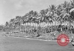Immagine di 8° Fighter Group Morotai Island Indonesia, 1944, secondo 9 filmato di repertorio 65675068810