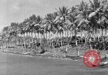 Immagine di 8° Fighter Group Morotai Island Indonesia, 1944, secondo 11 filmato di repertorio 65675068810
