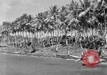 Immagine di 8° Fighter Group Morotai Island Indonesia, 1944, secondo 12 filmato di repertorio 65675068810