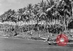 Immagine di 8° Fighter Group Morotai Island Indonesia, 1944, secondo 13 filmato di repertorio 65675068810