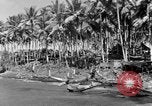 Immagine di 8° Fighter Group Morotai Island Indonesia, 1944, secondo 15 filmato di repertorio 65675068810