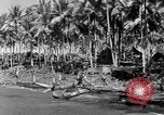 Immagine di 8° Fighter Group Morotai Island Indonesia, 1944, secondo 16 filmato di repertorio 65675068810