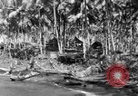 Immagine di 8° Fighter Group Morotai Island Indonesia, 1944, secondo 18 filmato di repertorio 65675068810