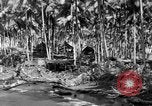 Immagine di 8° Fighter Group Morotai Island Indonesia, 1944, secondo 19 filmato di repertorio 65675068810