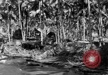 Immagine di 8° Fighter Group Morotai Island Indonesia, 1944, secondo 20 filmato di repertorio 65675068810