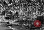 Immagine di 8° Fighter Group Morotai Island Indonesia, 1944, secondo 21 filmato di repertorio 65675068810
