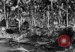 Immagine di 8° Fighter Group Morotai Island Indonesia, 1944, secondo 22 filmato di repertorio 65675068810