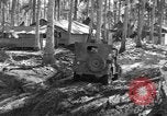 Immagine di 8° Fighter Group Morotai Island Indonesia, 1944, secondo 26 filmato di repertorio 65675068810