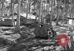 Immagine di 8° Fighter Group Morotai Island Indonesia, 1944, secondo 27 filmato di repertorio 65675068810
