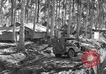 Immagine di 8° Fighter Group Morotai Island Indonesia, 1944, secondo 28 filmato di repertorio 65675068810