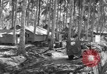 Immagine di 8° Fighter Group Morotai Island Indonesia, 1944, secondo 29 filmato di repertorio 65675068810