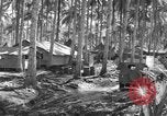 Immagine di 8° Fighter Group Morotai Island Indonesia, 1944, secondo 30 filmato di repertorio 65675068810