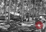 Immagine di 8° Fighter Group Morotai Island Indonesia, 1944, secondo 31 filmato di repertorio 65675068810