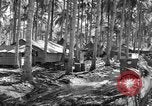 Immagine di 8° Fighter Group Morotai Island Indonesia, 1944, secondo 32 filmato di repertorio 65675068810