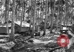 Immagine di 8° Fighter Group Morotai Island Indonesia, 1944, secondo 34 filmato di repertorio 65675068810