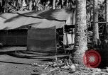 Immagine di 8° Fighter Group Morotai Island Indonesia, 1944, secondo 35 filmato di repertorio 65675068810