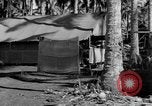 Immagine di 8° Fighter Group Morotai Island Indonesia, 1944, secondo 36 filmato di repertorio 65675068810