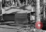 Immagine di 8° Fighter Group Morotai Island Indonesia, 1944, secondo 39 filmato di repertorio 65675068810