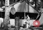 Immagine di 8° Fighter Group Morotai Island Indonesia, 1944, secondo 46 filmato di repertorio 65675068810