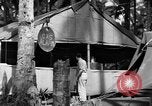 Immagine di 8° Fighter Group Morotai Island Indonesia, 1944, secondo 48 filmato di repertorio 65675068810